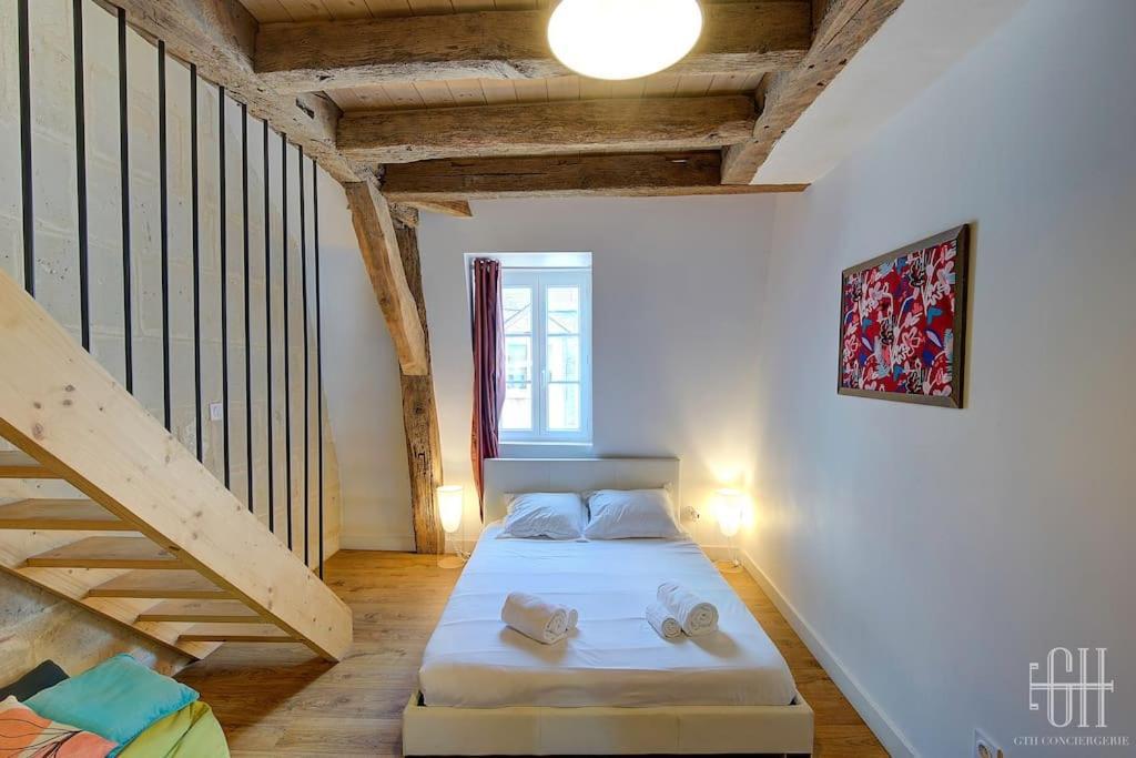 Glorisa - Quartier Historique Apartment Tours